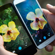 Imagen para el artículo titulado Nexus 5, análisis: el mejor Android en relación calidad-precio